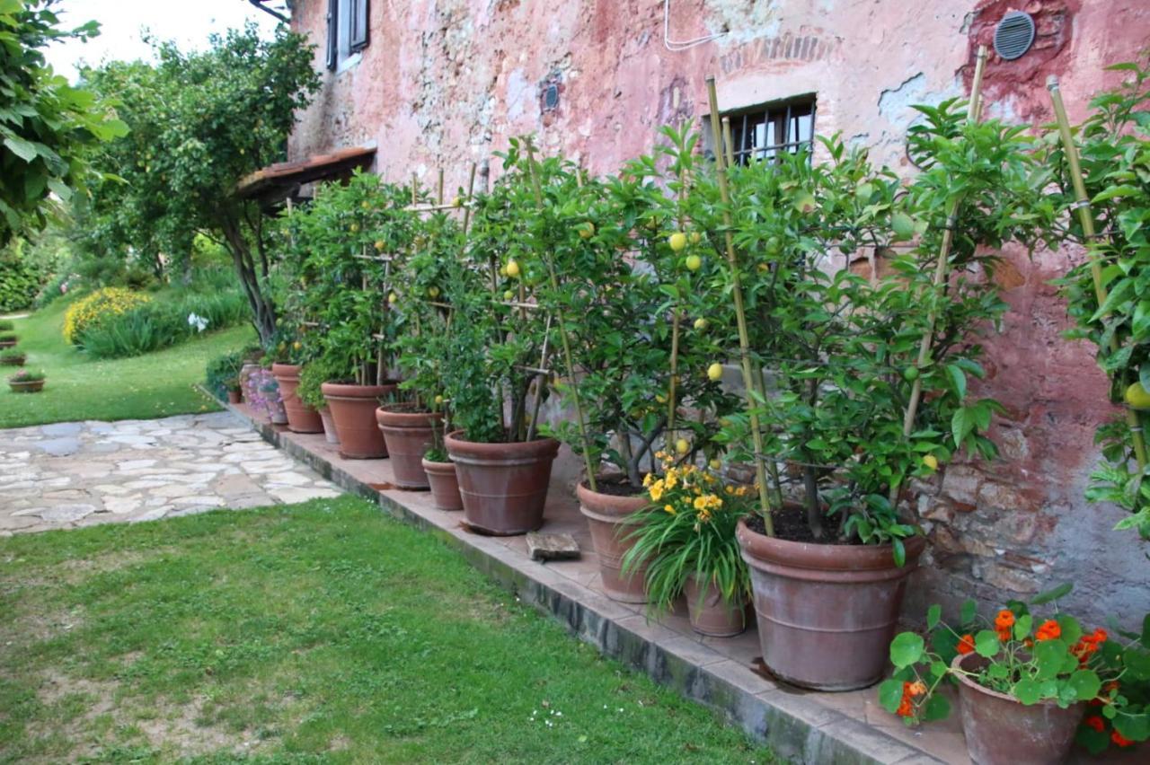 Casa Gaia Hostal Lucca Exterior foto